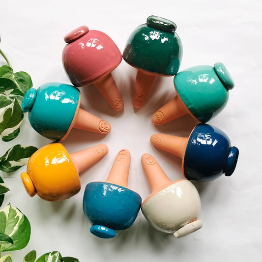 Olla Champi Water Reservoir