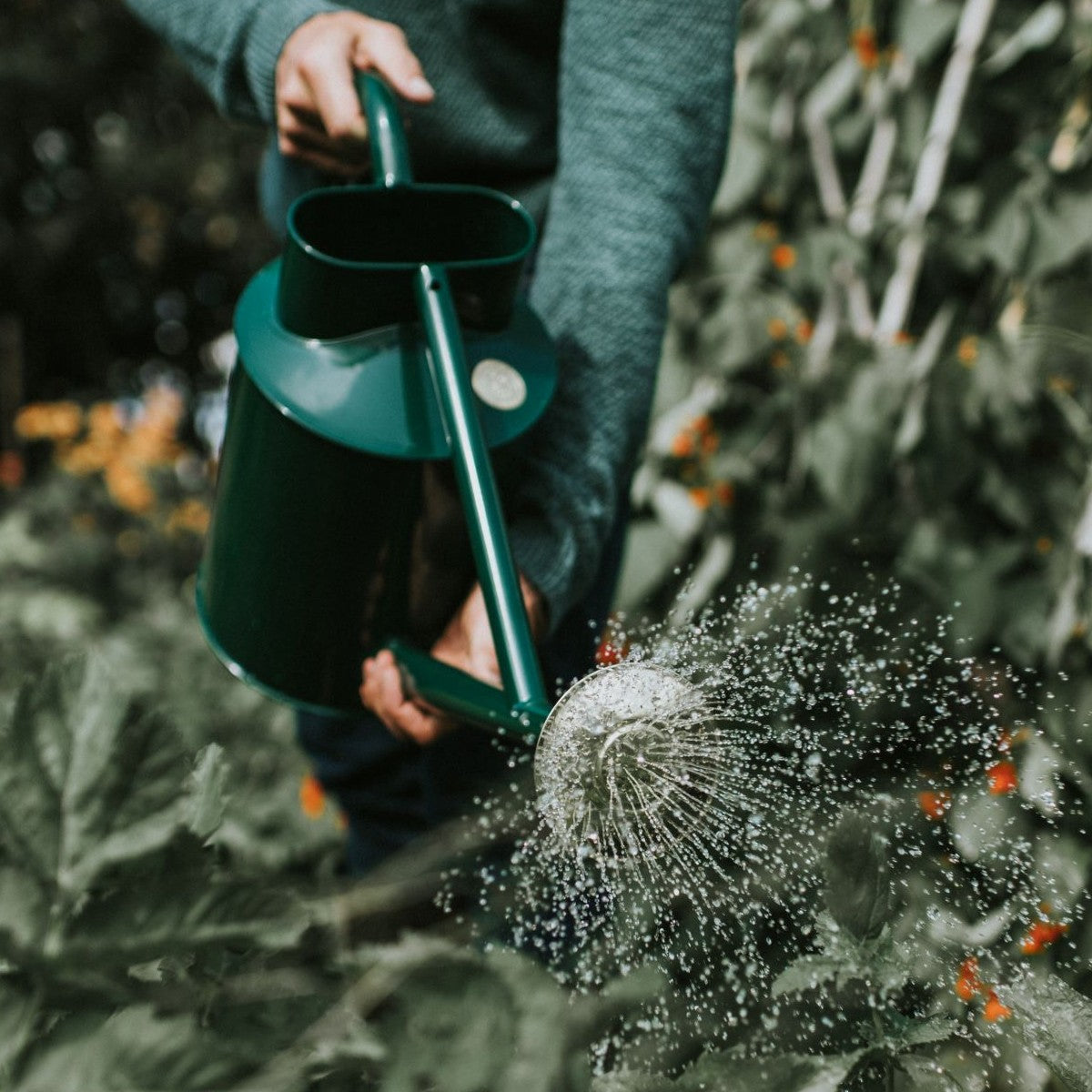 Haws Watering Can, Bearwood Brook, Green 2-Gallon