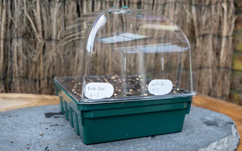 Propagator LID for Charles Dowding and Huw Richards Base Tray