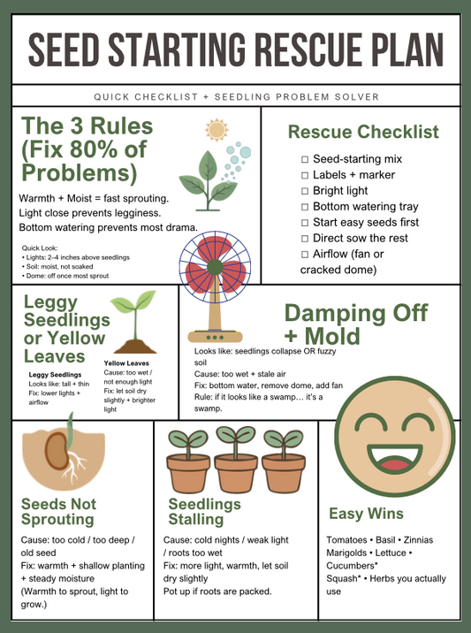 Seed Starting Rescue Plan — Fix Leggy, Stalled & Failing Seedlings Fast