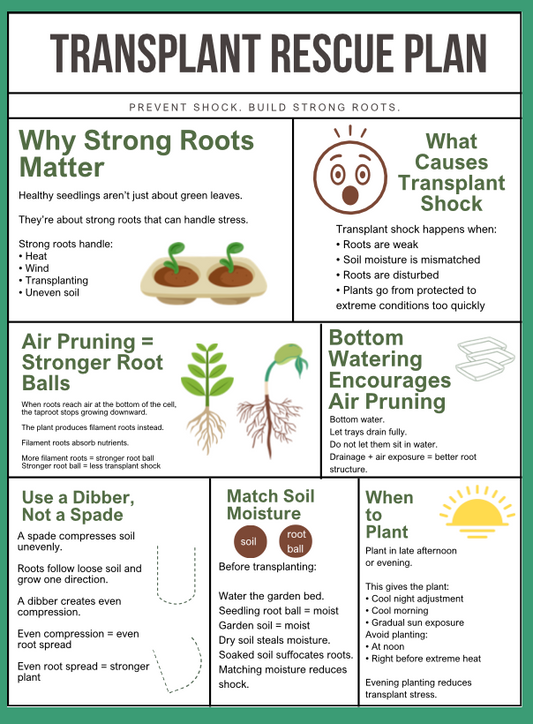 Transplant Rescue Plan — Prevent Shock & Grow Strong Roots