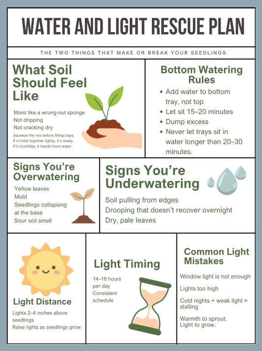 Water & Light Rescue Plan — Fix Overwatering, Weak Light & Stalled Seedlings