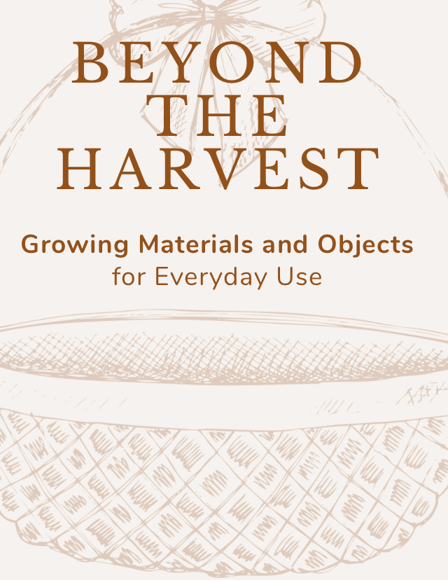 Beyond the Harvest — Grow What You Can Use Every Day