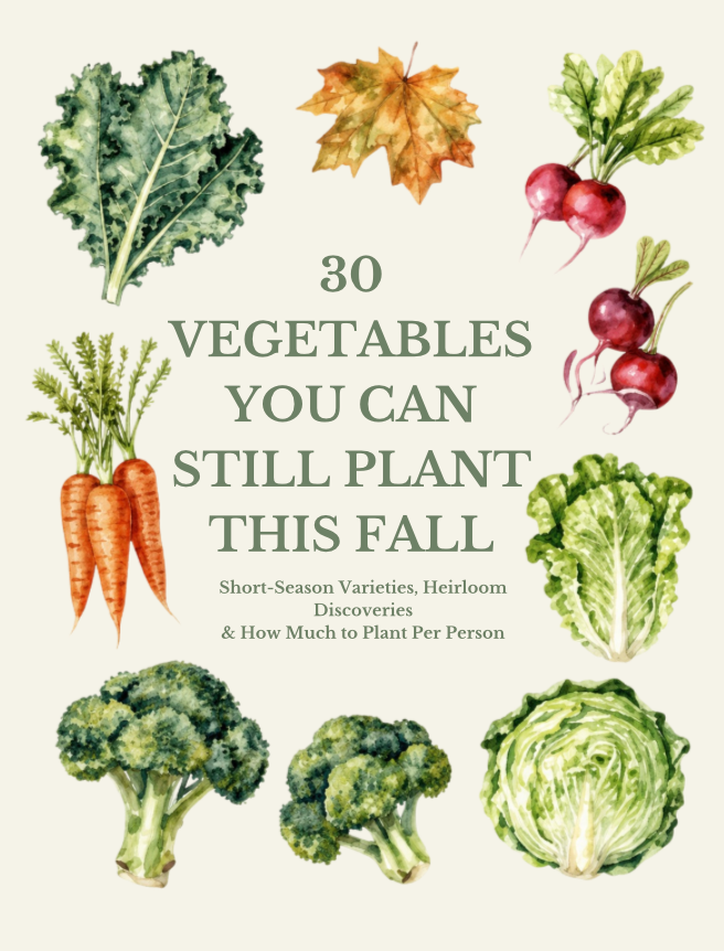 30 Vegetables You Can Still Plant This Fall
