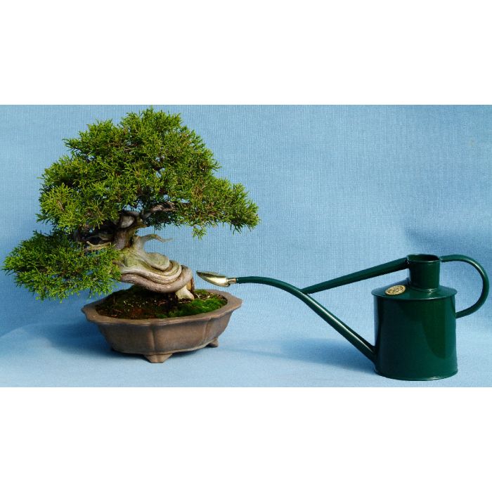 Haws Watering Cans, Rowley Ripple, Green 2-pint