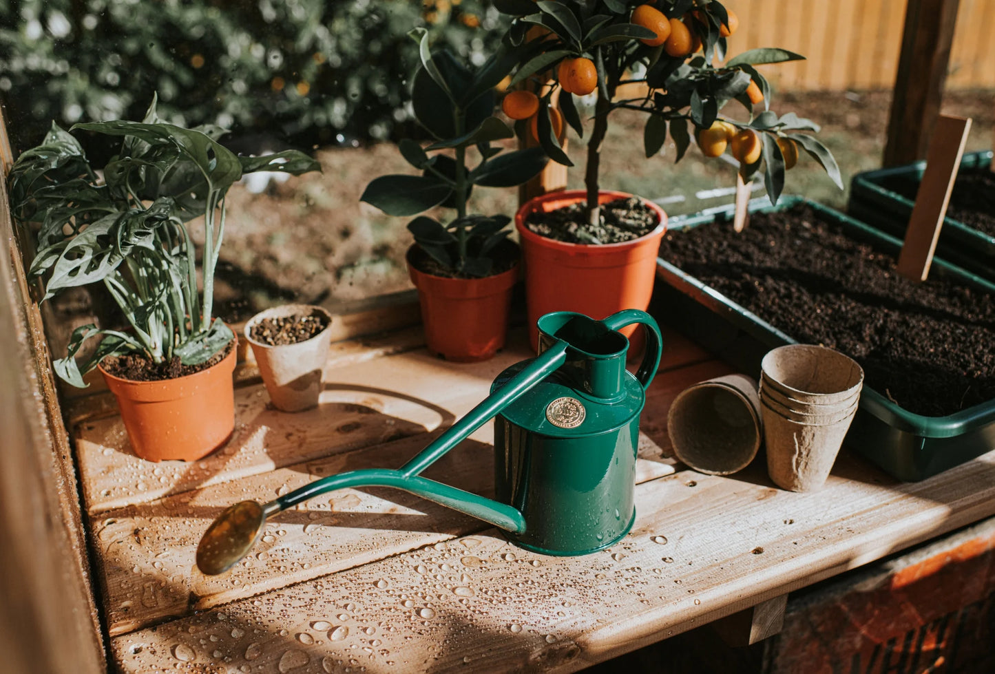 Haws Watering Cans, Rowley Ripple, Green 2-pint