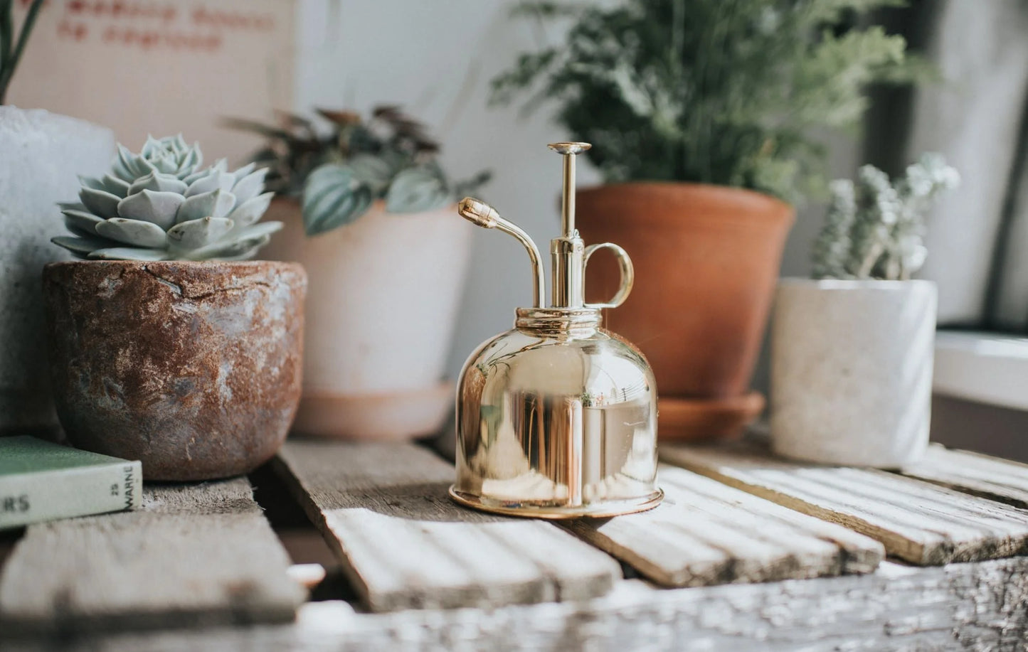 Haws Watering Cans, Smethwick Spritzer, Brass 1/2-pint