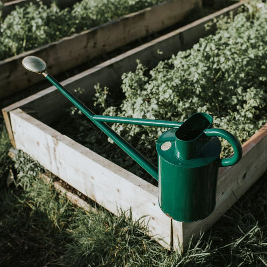 Haws Watering Cans, Warley Fall, Green 2-Gallon