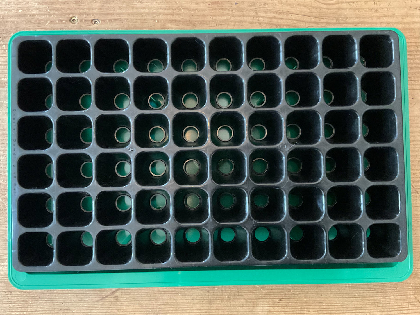 Bottom Watering Trays