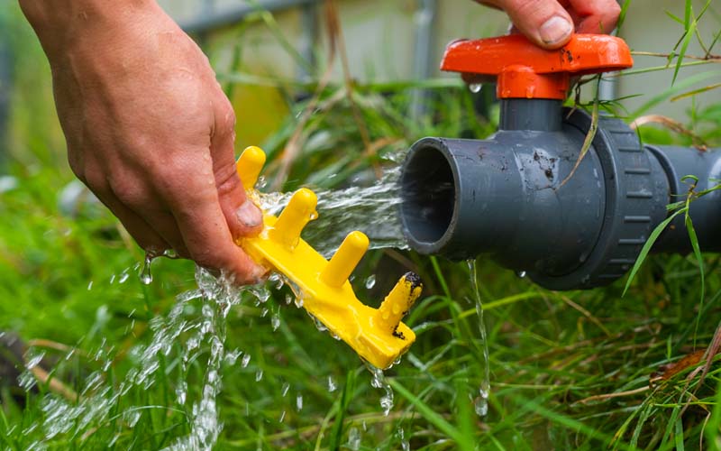 Plug Popper for Charles Dowding Seed Trays