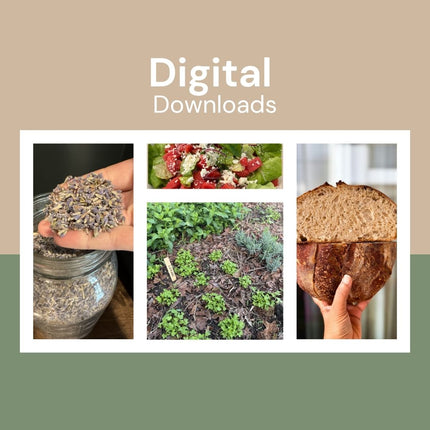 Collection image for: Digital Downloads