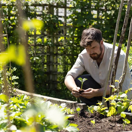 Collection image for: Huw Richards Seed Trays