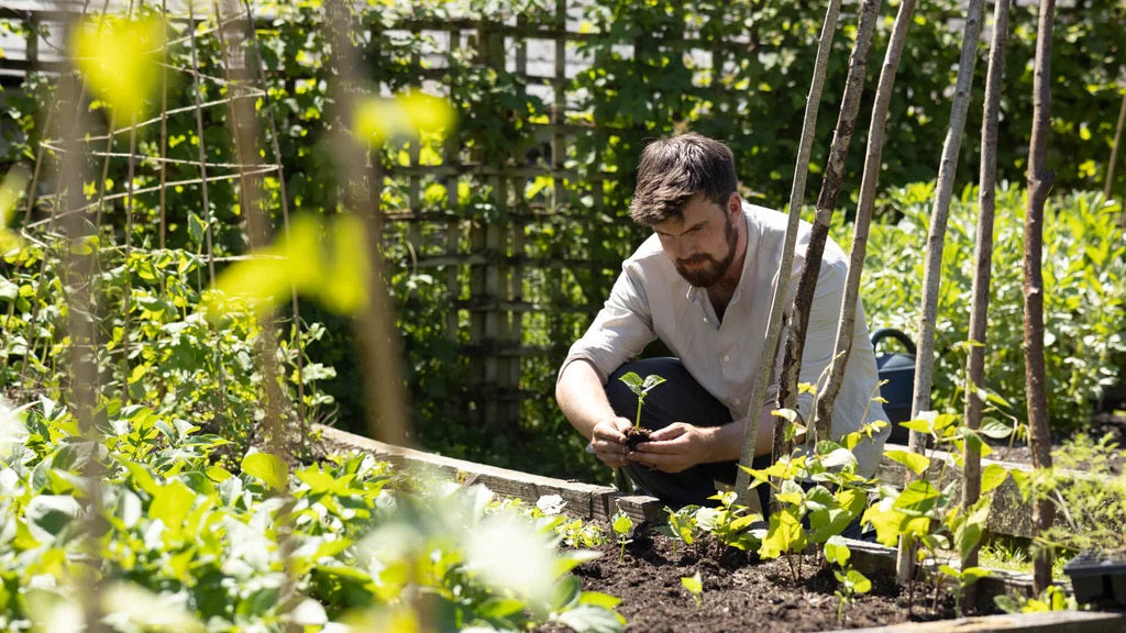 Huw Richards Seed Trays – All About The Garden