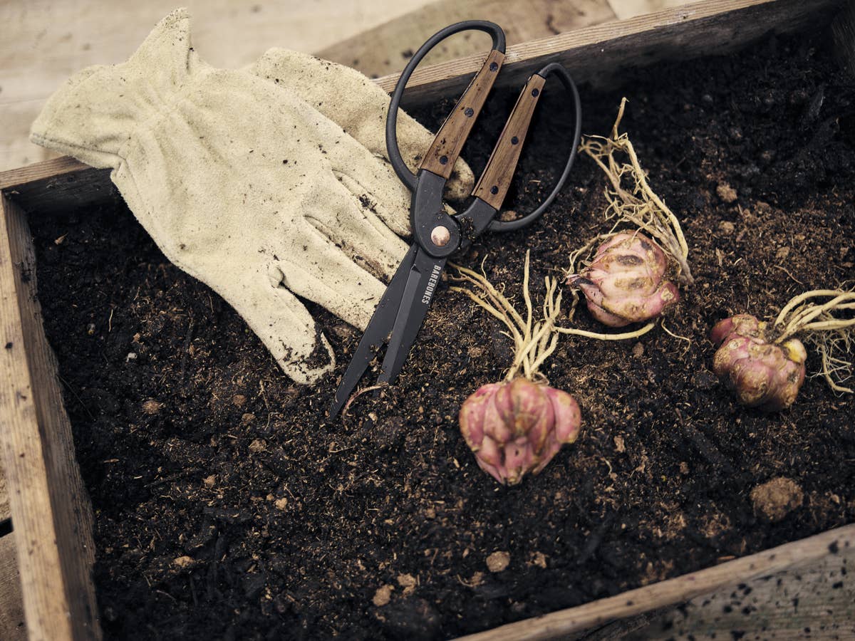 Garden Scissors - Large