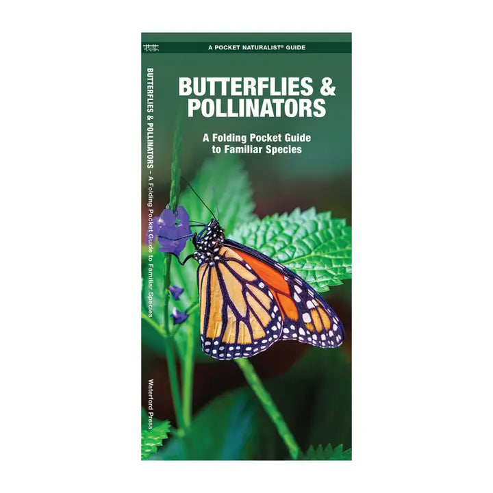 Butterflies & Pollinators