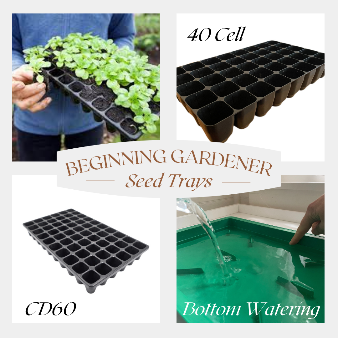 Beginning Gardener