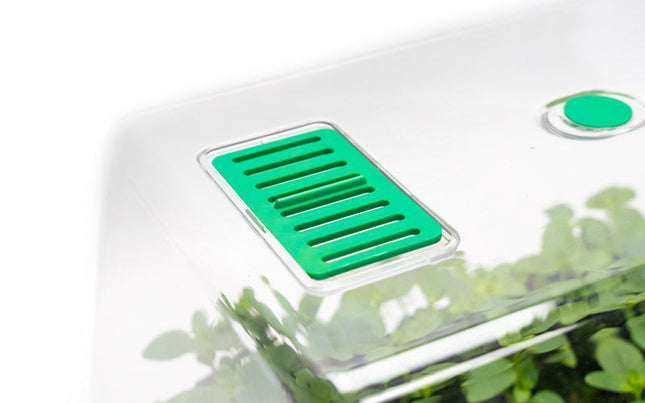 Large Sturdy Propagator SET with Lid and Air vents