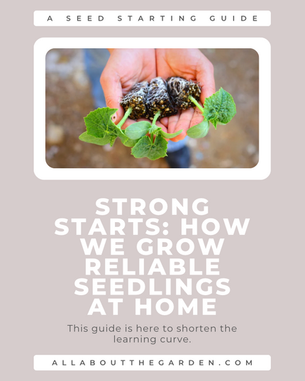 Strong Starts: Fix Weak, Leggy Seedlings and Grow Them Right from Day One (Digital Download)