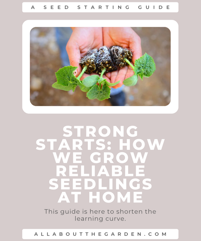 Strong Starts: Fix Weak, Leggy Seedlings and Grow Them Right from Day One (Digital Download)