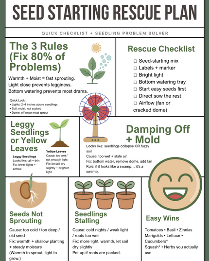 Seed Starting Rescue Plan — Fix Leggy, Stalled & Failing Seedlings Fast