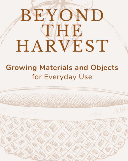 Beyond the Harvest — Grow What You Can Use Every Day