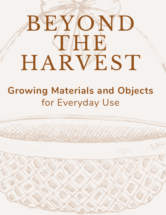 Beyond the Harvest — Grow What You Can Use Every Day