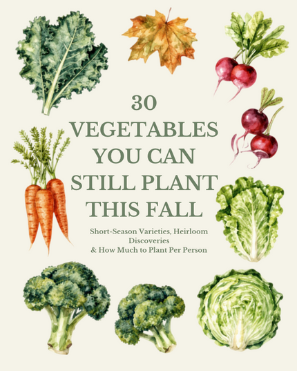 30 Vegetables You Can Still Plant This Fall