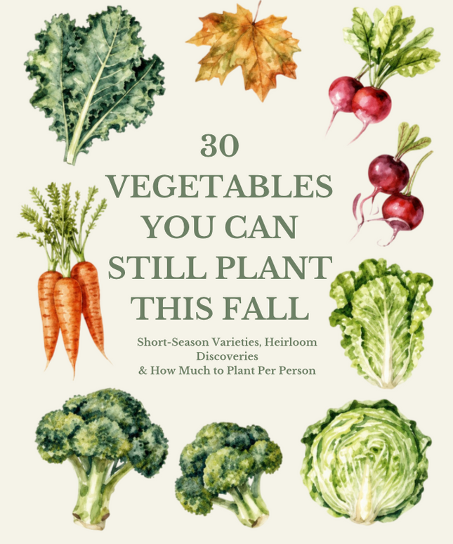 30 Vegetables You Can Still Plant This Fall