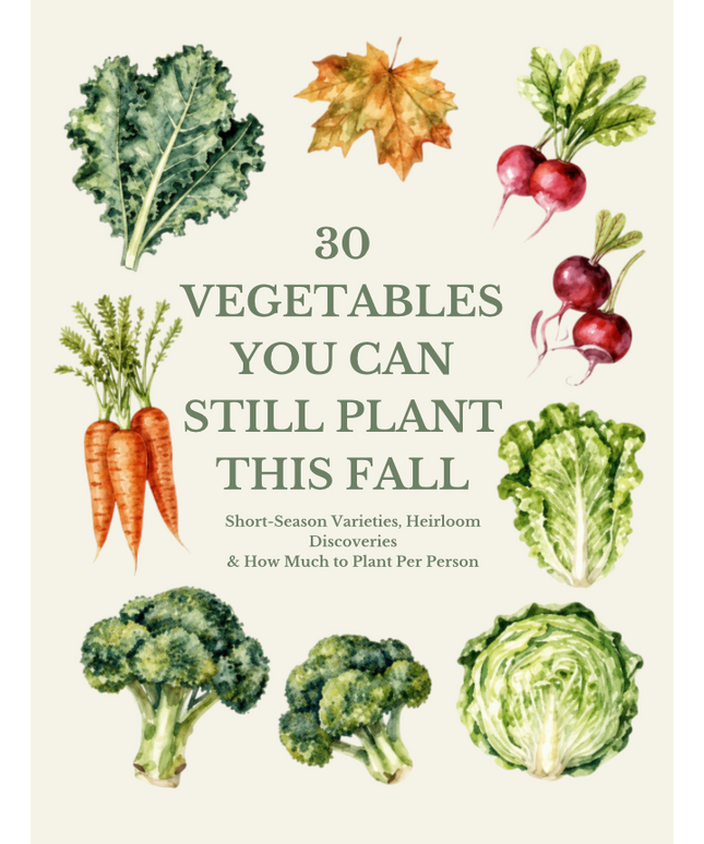 30 Vegetables You Can Still Plant This Fall