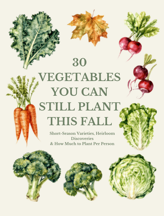 30 Vegetables You Can Still Plant This Fall