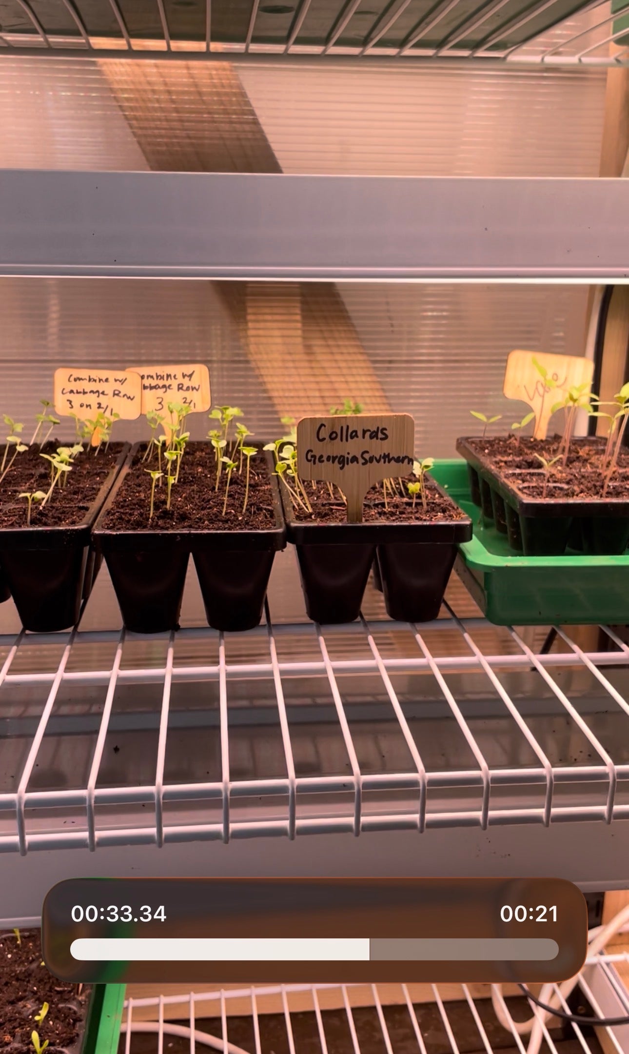 The Ultimate Seed Starting Station: Build a High-Output System for Serious Gardeners