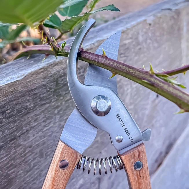 Bypass Pruners - Wood Handled Garden Tool