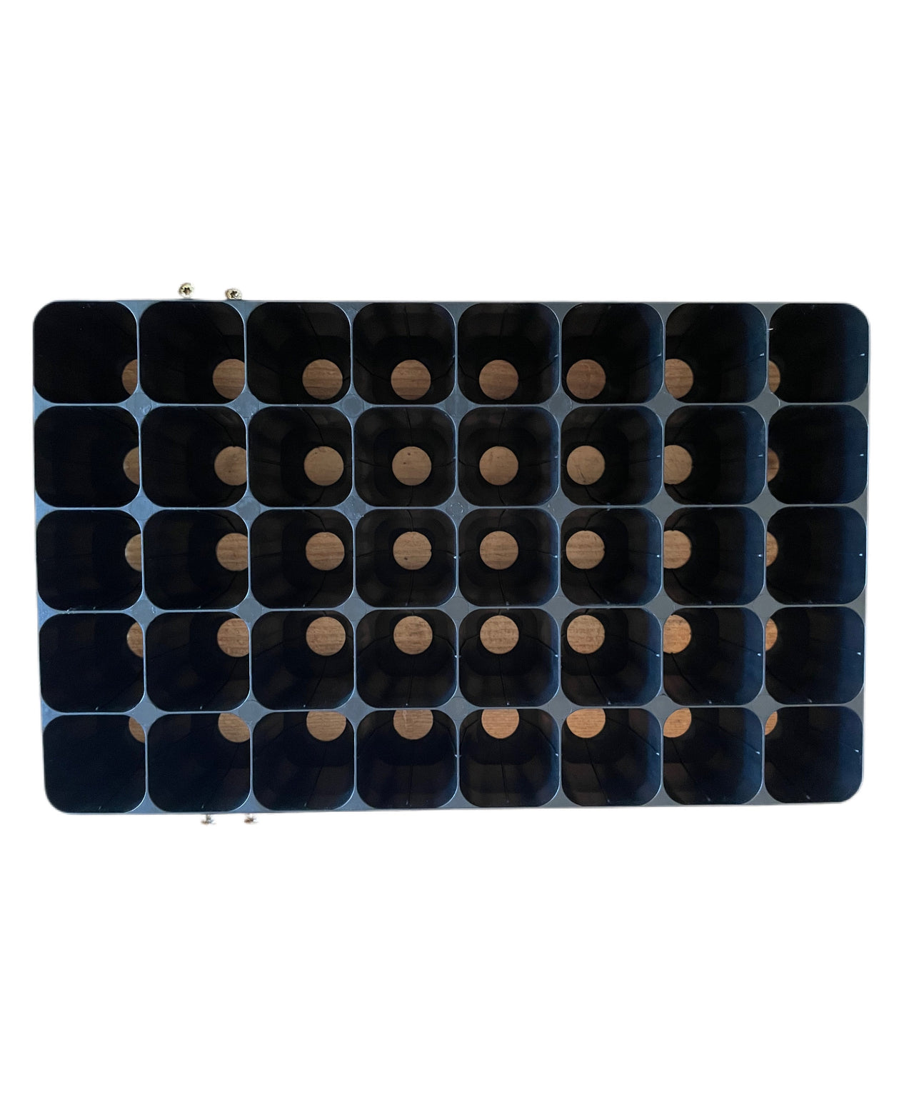 40L - 40-Cell Seed Propagation Tray – All About The Garden