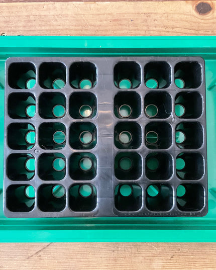 Bottom Watering Trays