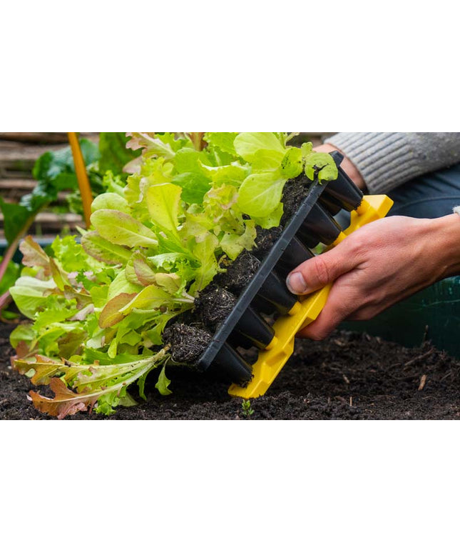 Plug Popper for Charles Dowding Seed Trays